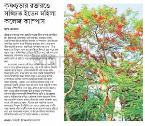 কৃষ্ণচূড়ার রক্তরঙে সজ্জিত ইডেন মহিলা কলেজ ক্যাম্পাস