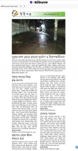 সোলার প্যানেল
